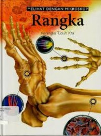 Image of Melihat dengan mikroskop: Rangka kerangka tubuh kita
